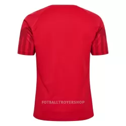 Danmark Hjemmedrakt Herre VM 2022