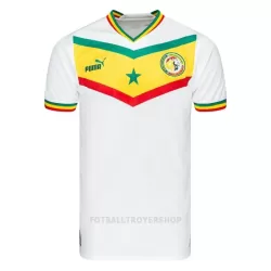 Senegal Hjemmedrakt Herre VM 2022 Senegal Hjemmedrakt Herre VM 2022