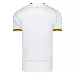 Senegal Hjemmedrakt Herre VM 2022