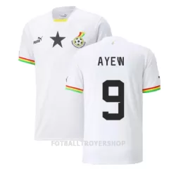 Ghana Ayew 9 Hjemmedrakt Herre Jordan VM 2022 Ghana Ayew 9 Hjemmedrakt Herre Jordan VM 2022