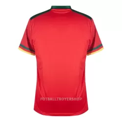 Kamerun Tredjedrakt Herre VM 2022