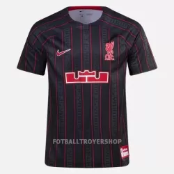 Liverpool X Lebron James Nike Trenings Skjorter Herre 2023 Liverpool X Lebron James Nike Trenings Skjorter Herre 2023