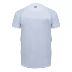 Grêmio FBPA Bortedrakt Herre 2023/2024