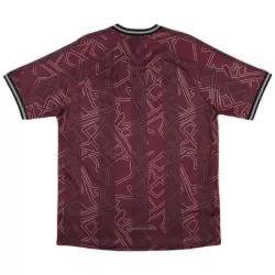 Danmark Drakt Herre 2024/2025 Spesiell