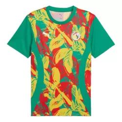 Senegal Pre-Match Drakt Herre 2024/2025 Senegal Pre-Match Drakt Herre 2024/2025