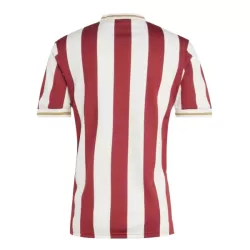 FC Nurnberg Jubileum Drakt Herre 2024/2025