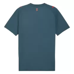 Shakhtar Donetsk Bortedrakt Herre 2025-26