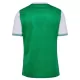 AS AS Saint-Étienne Hjemmedrakt Herre 2025-26