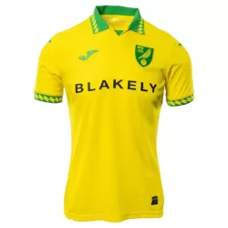 Norwich City Hjemmedrakt Herre 2025-26 Norwich City Hjemmedrakt Herre 2025-26