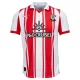 Southampton Hjemmedrakt Herre 2025-26 Southampton Hjemmedrakt Herre 2025-26