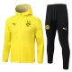 Borussia Dortmund Trenings Hettejakke Herre 2025-26 Gul