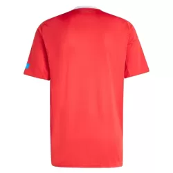 FC Nurnberg Tredjedrakt Herre 2025-26