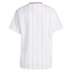 Aston Villa Terrace Icons Drakt Herre 2025-26