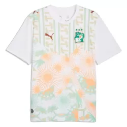 Elfenbenskysten Bortedrakt Herre VM 2026