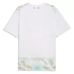 Elfenbenskysten Bortedrakt Herre VM 2026