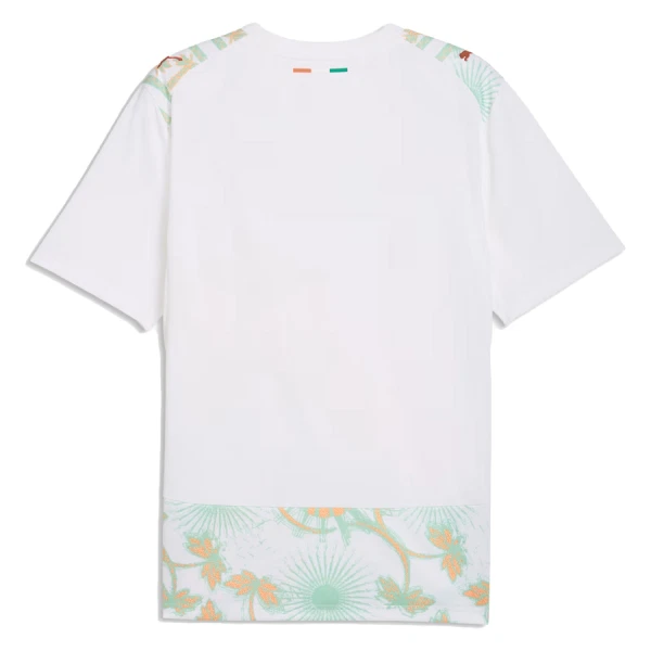 Elfenbenskysten Bortedrakt Herre VM 2026