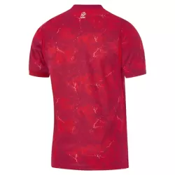 Polen Bortedrakt Herre 2026